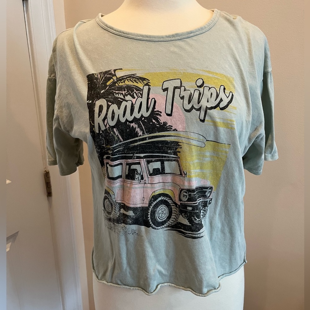 Caution To The Wind Graphic Cropped T Shirt, Size Medium, Light Green